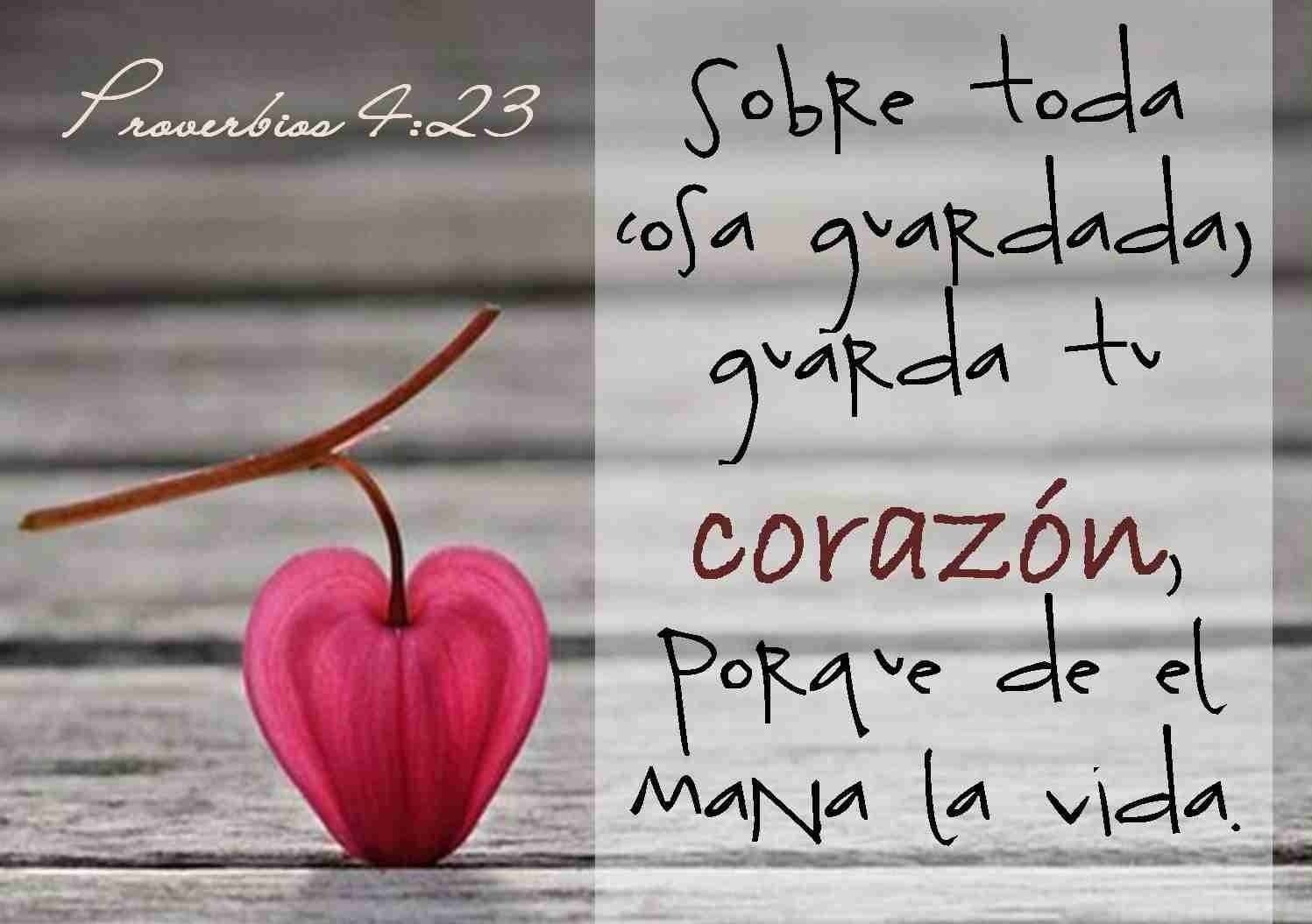Proverbios 4 23 Guarda Tu Corazon Por Encima De Todo Postposmo