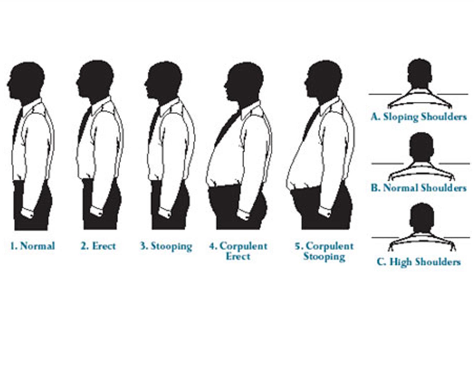 Your body and getting the correct fit Post Road Clothier