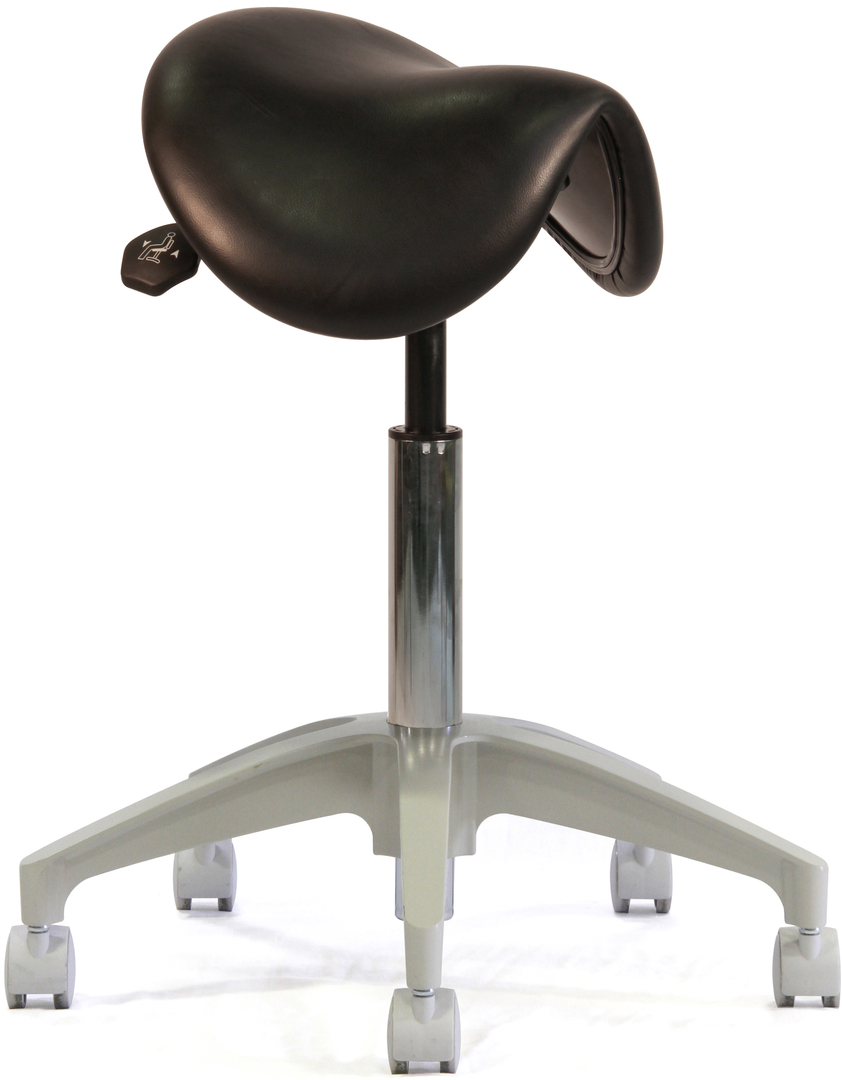 Saddle Stools in the Dental Operatory Posturedontics