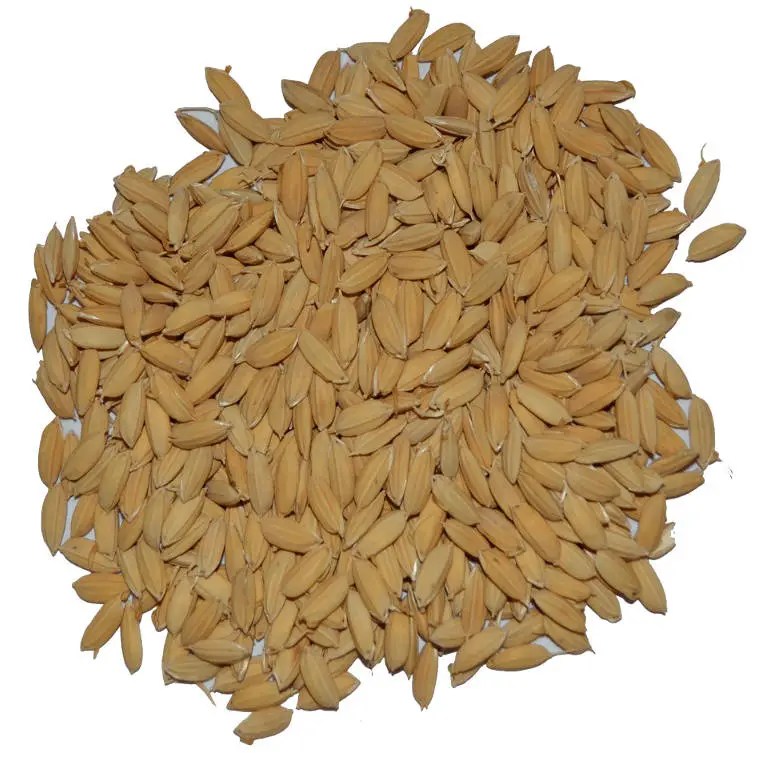 Is Malted Rice Gluten Free? PostureInfoHub