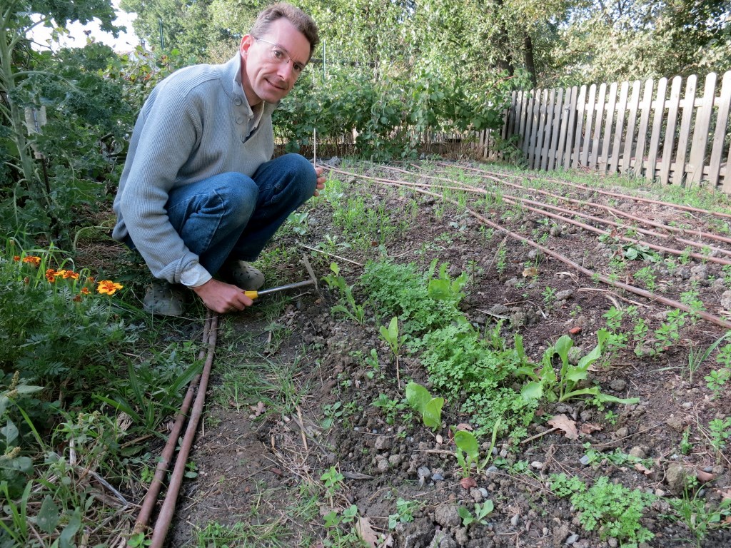 Le tour du potager n° 9 fin d'été 2013 •