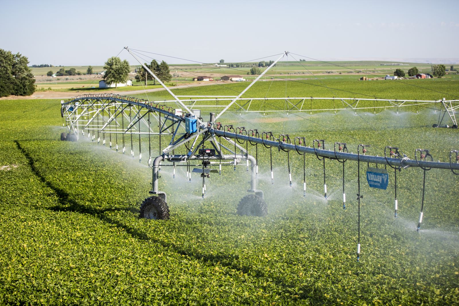 Take Flight Using drones to improve irrigation efficiency Potato