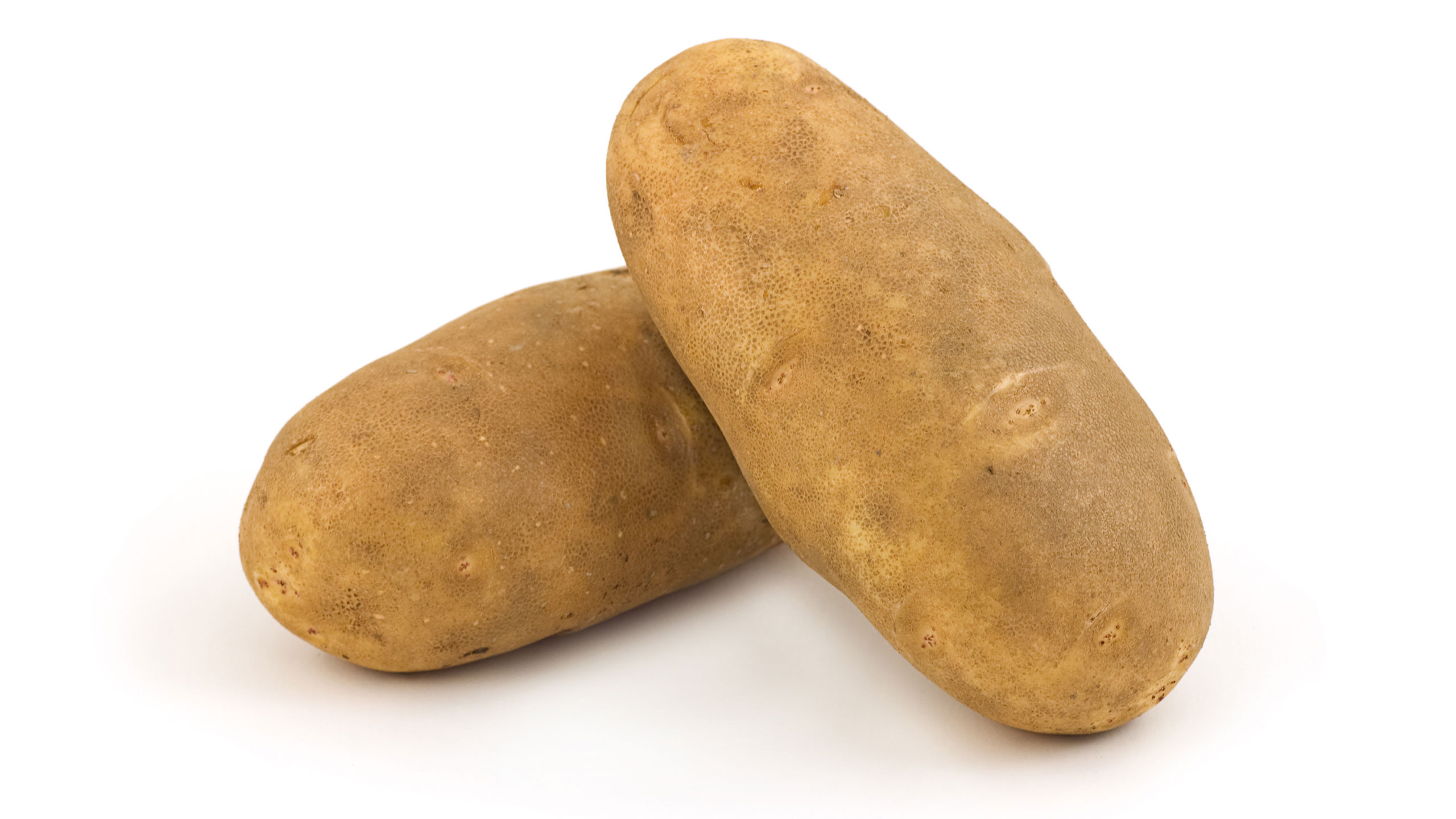 Potato Field Day Rupert, ID Potatoes & Pests (PAPAS)