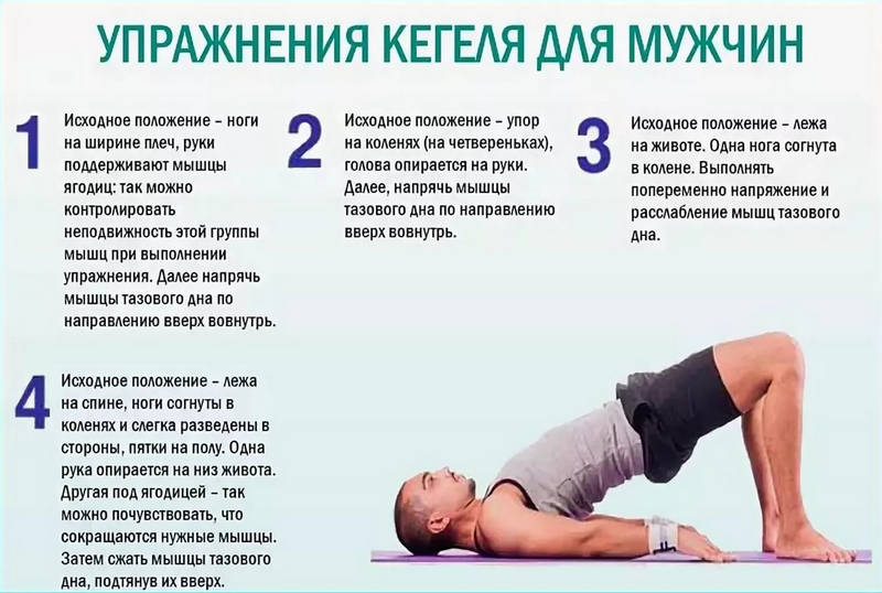 Как увеличить половой член ТОП20 безопасных и эффективных способов