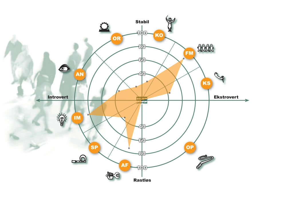 BELBINS 9 Teamroller Baggrundsmateriale og downloadsBelbin, TotalSDI and SalesKey profiles