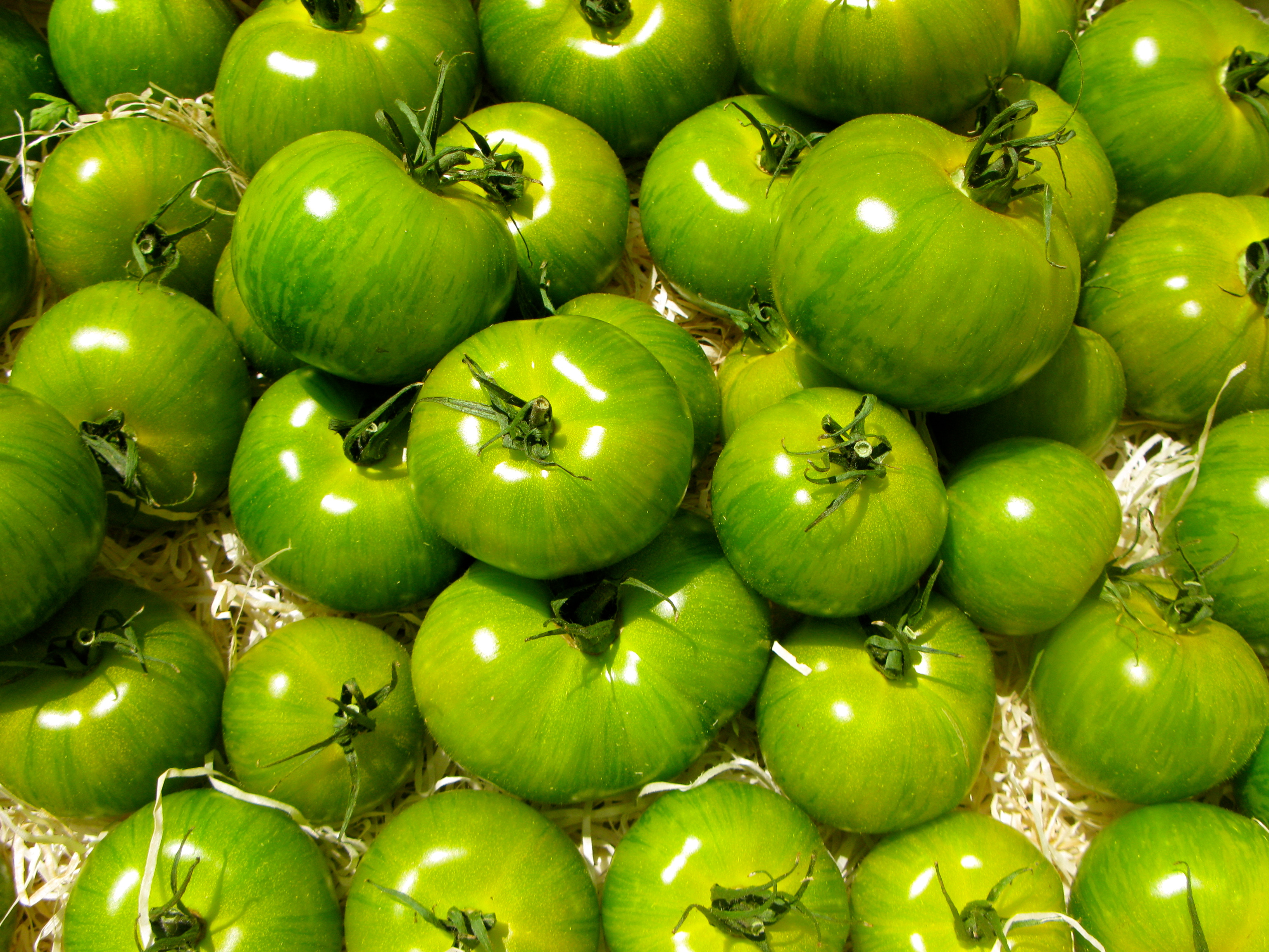 Confituur van groene tomaten La maison blanche aux volets bleus' blog