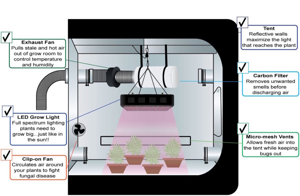 Indoor Grow Systems How To Setup A Grow Room (Low & High Budget