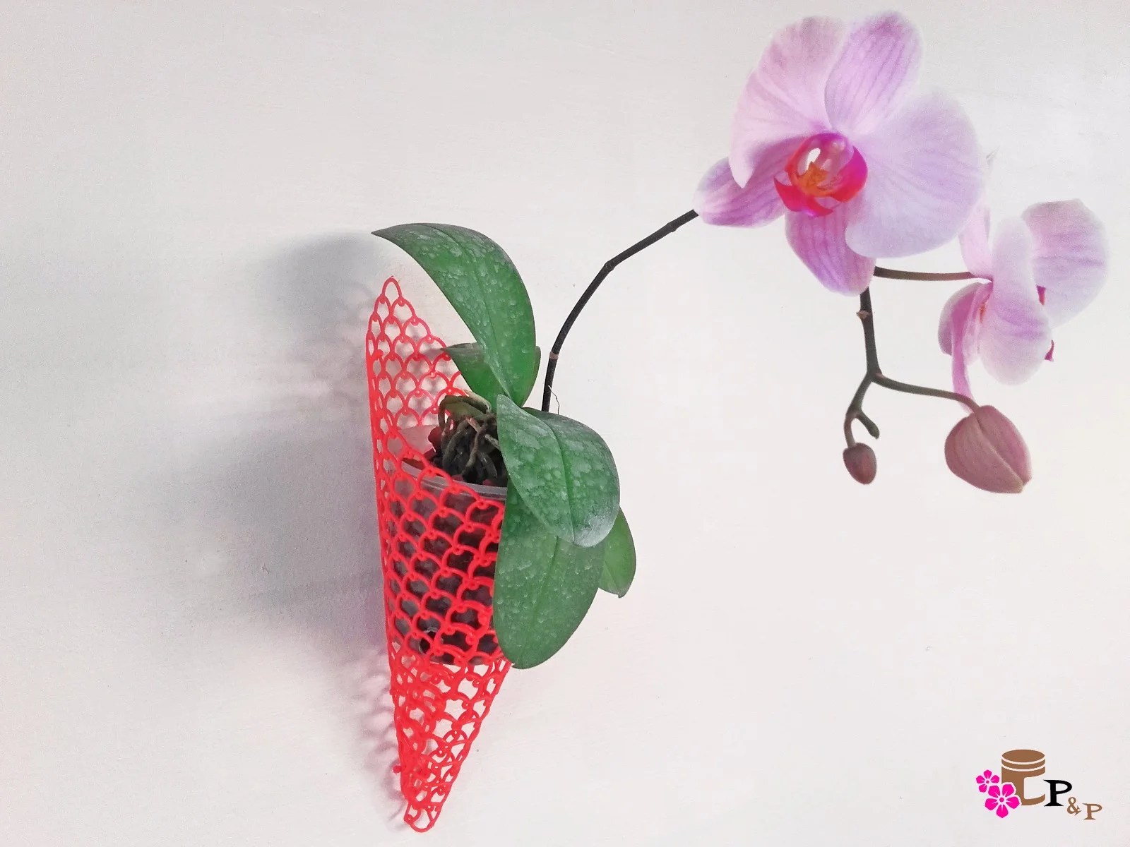 Cone Net Pots for vertical garden Orchid Hanging Pots Cone Net Planter