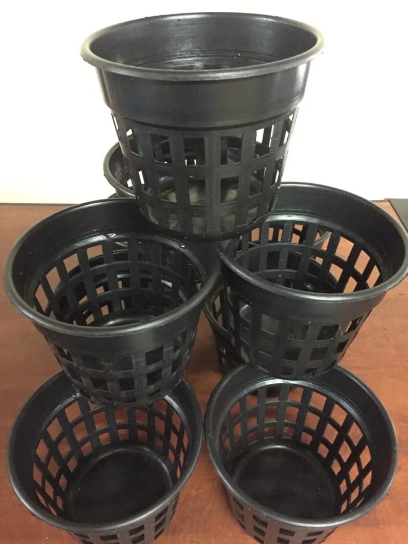 Buy Orchid Pots Online Purchase Orchid Pots Brown Orchid Pots