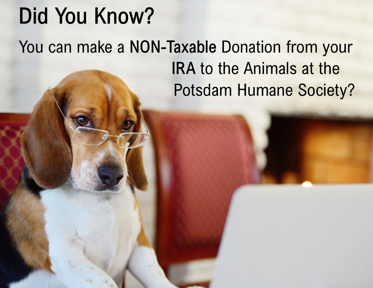 NonTaxable Distributions from Your IRA Potsdam Humane Society