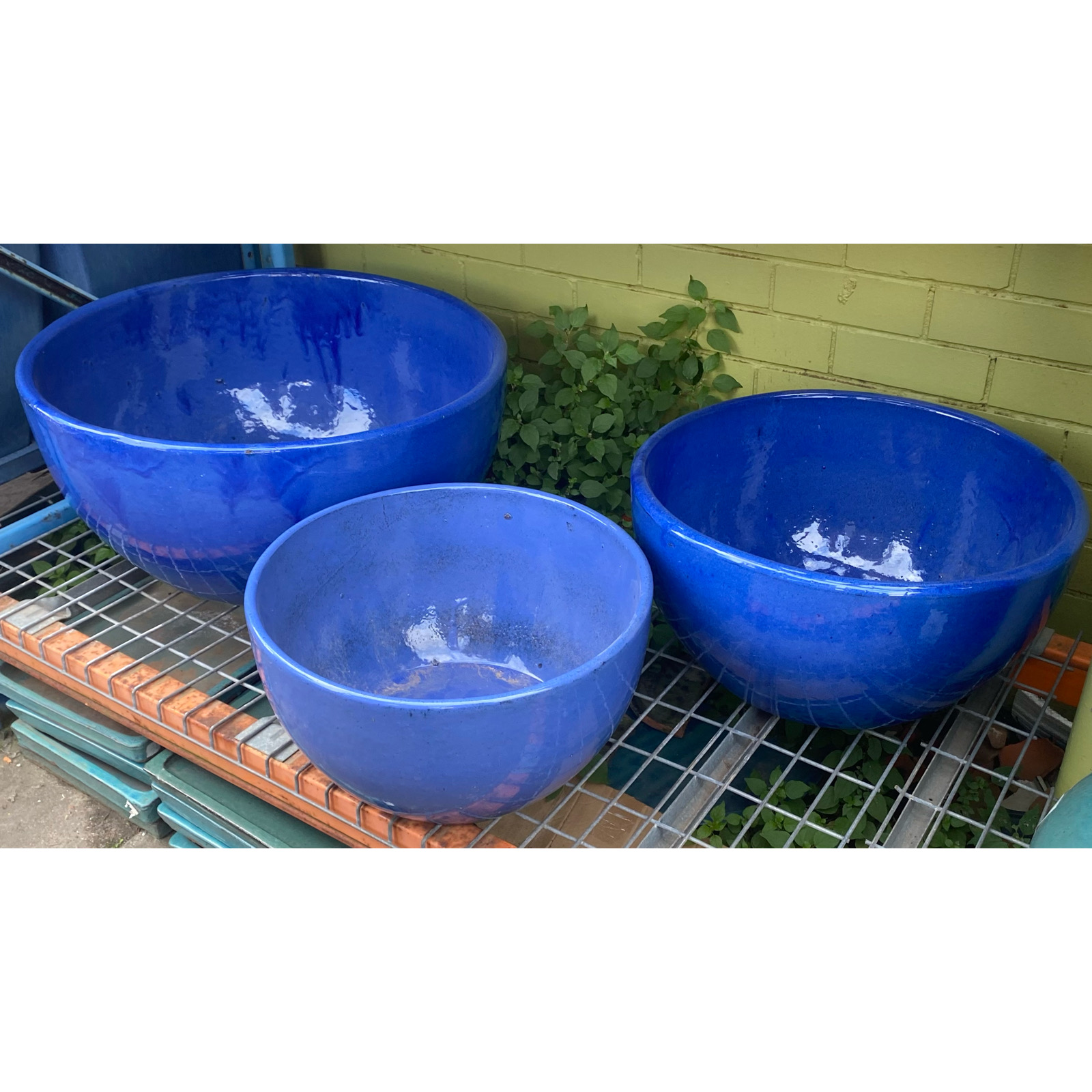 Double Glazed Bowl Water Bowl Planter Pots n Pots