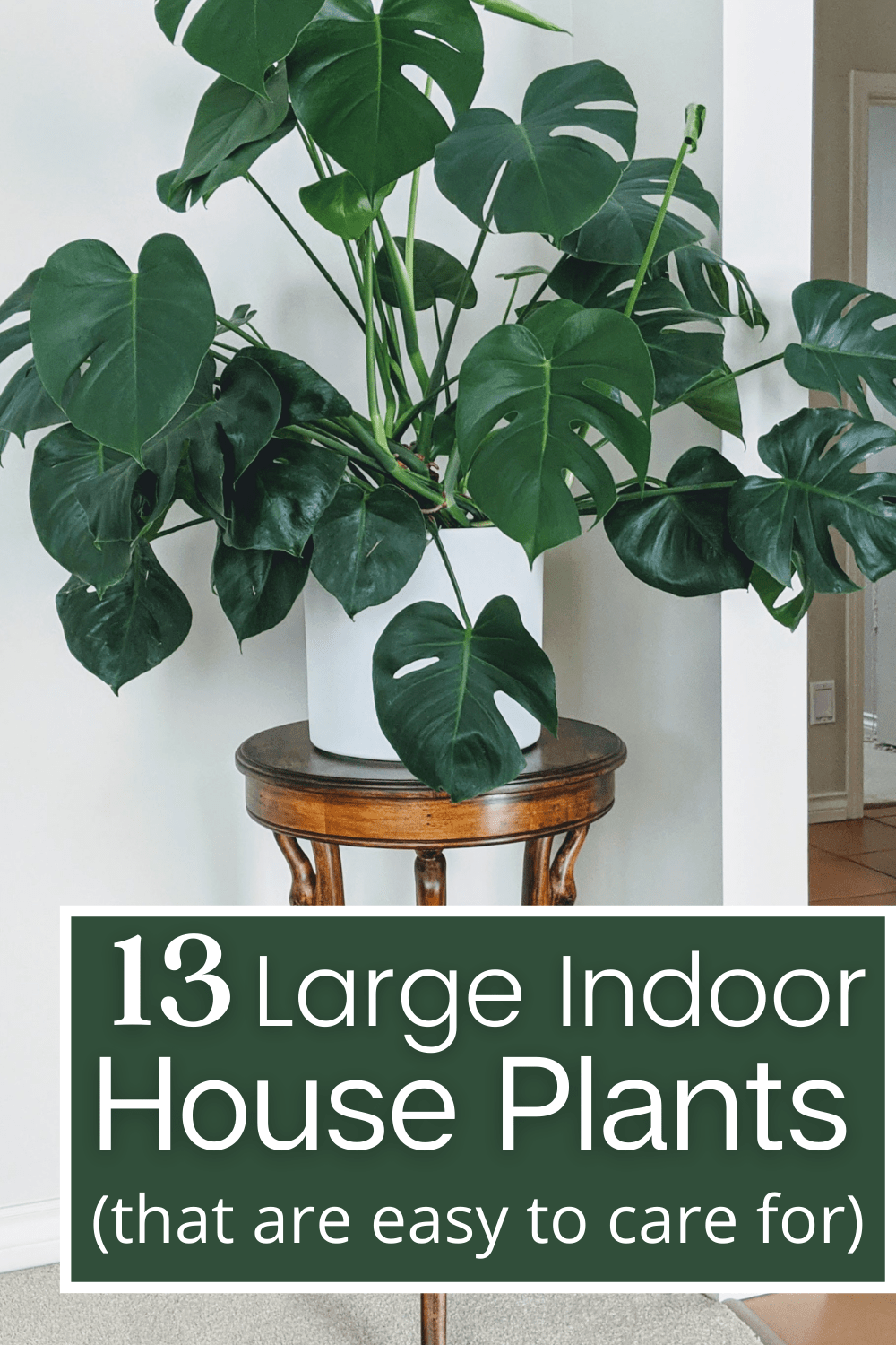 The 13 Best Large Houseplants (that anyone can keep alive) Potted Pixie