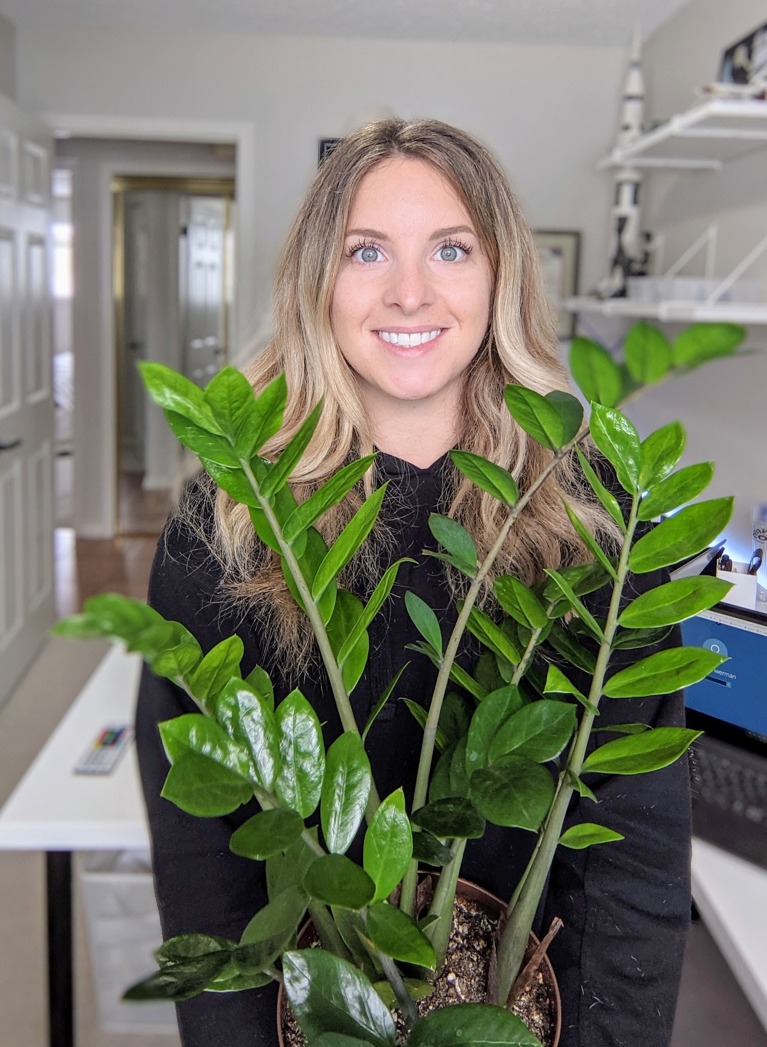 How to Propagate a ZZ Plant in Water Easiest Method (step by step guide)