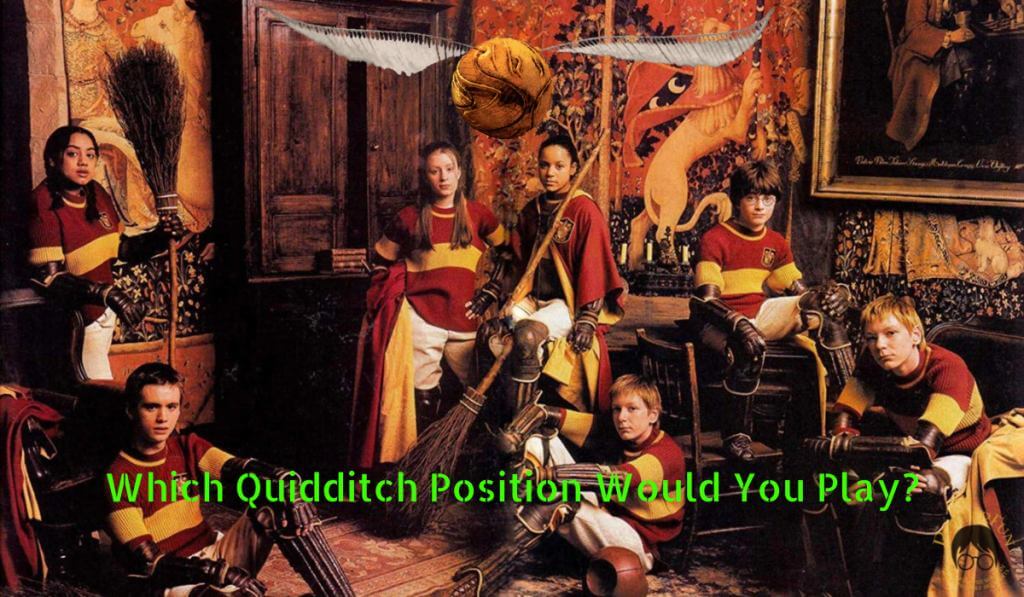 Quidditch Position Quiz What Position Would You Play? PotterFun