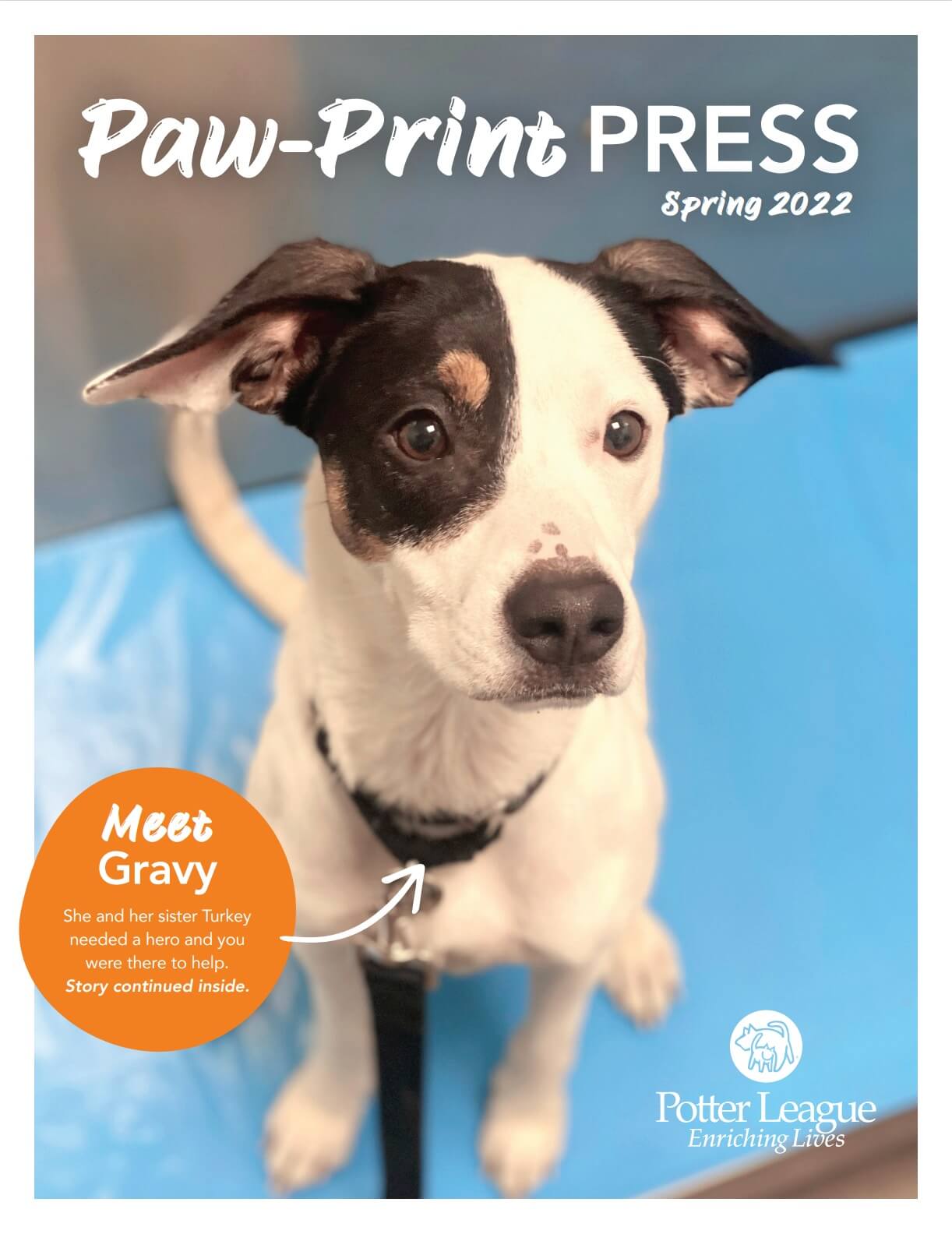 POTRI Spring NL 2022 Potter League For Animals