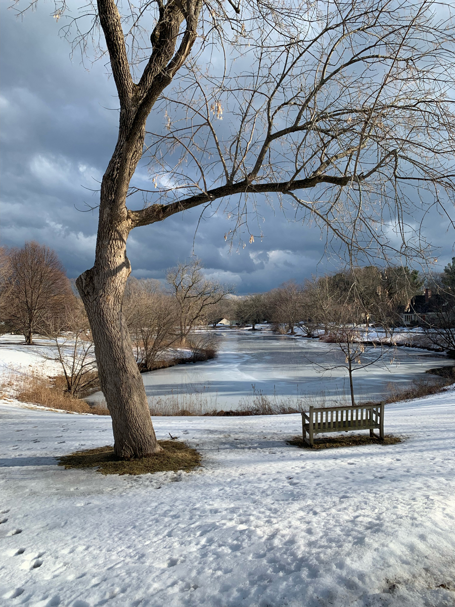 Photo Gallery Potter Pond Lexington Condominiums MA