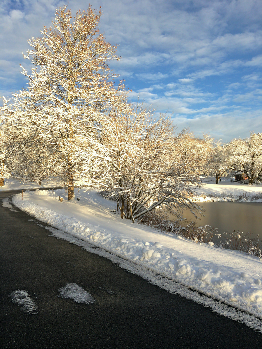 Photo Gallery Potter Pond Lexington Condominiums MA