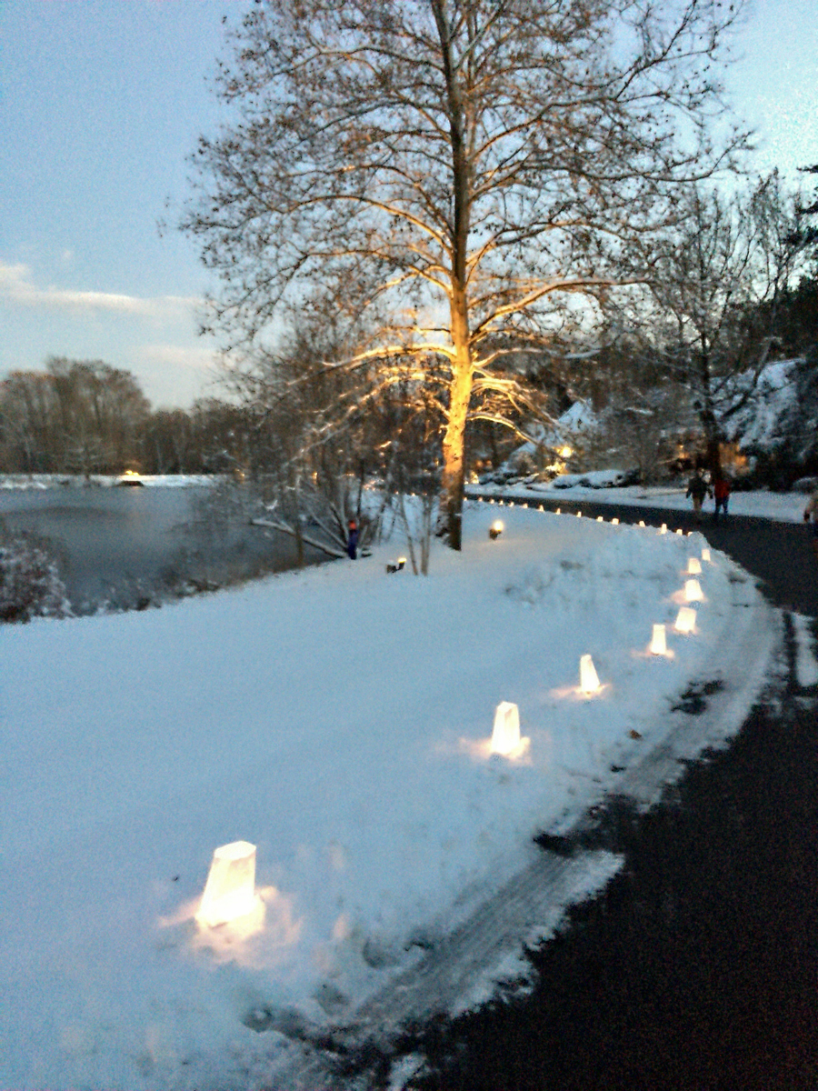 Photo Gallery Potter Pond Lexington Condominiums MA