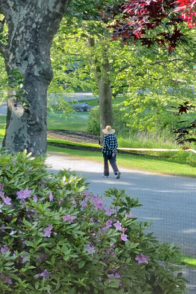 Photo Gallery Potter Pond Lexington Condominiums MA