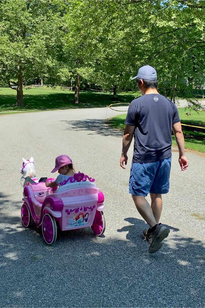 Photo Gallery Potter Pond Lexington Condominiums MA