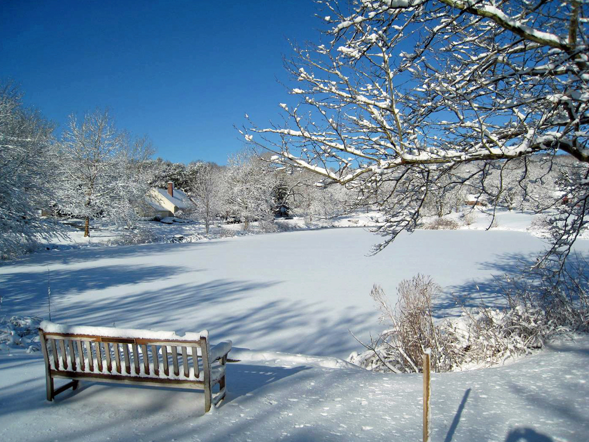 Photo Gallery Potter Pond Lexington Condominiums MA