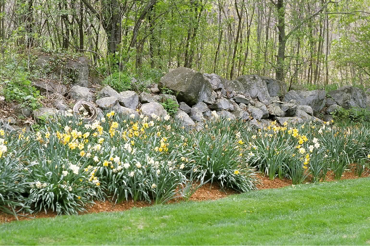 Photo Gallery Potter Pond Lexington Condominiums MA