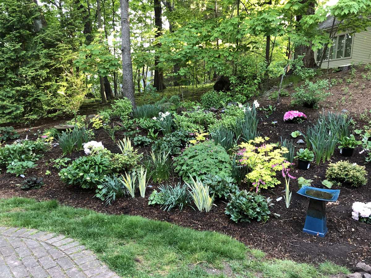 Photo Gallery Potter Pond Lexington Condominiums MA