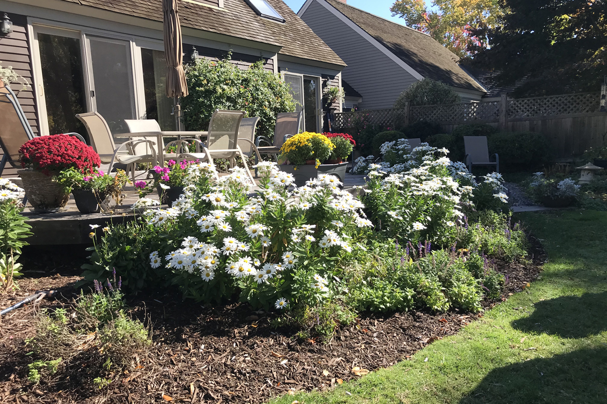 Photo Gallery Potter Pond Lexington Condominiums MA