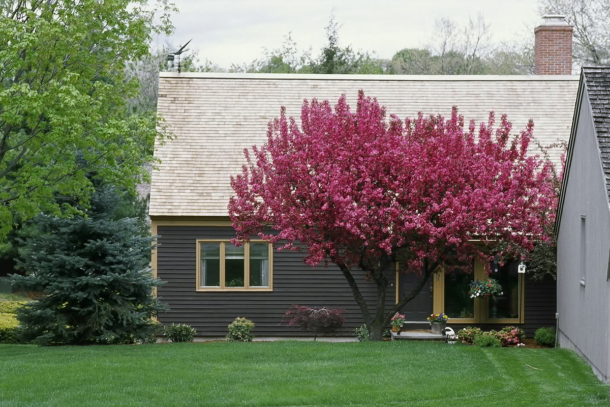 Photo Gallery Potter Pond Lexington Condominiums MA