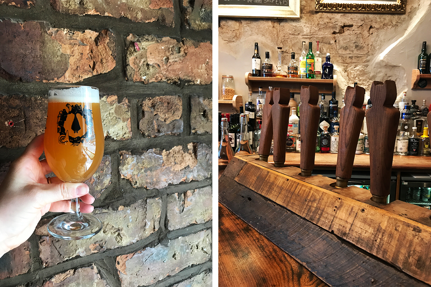 The Hanging Bat_3 Pottgewächs