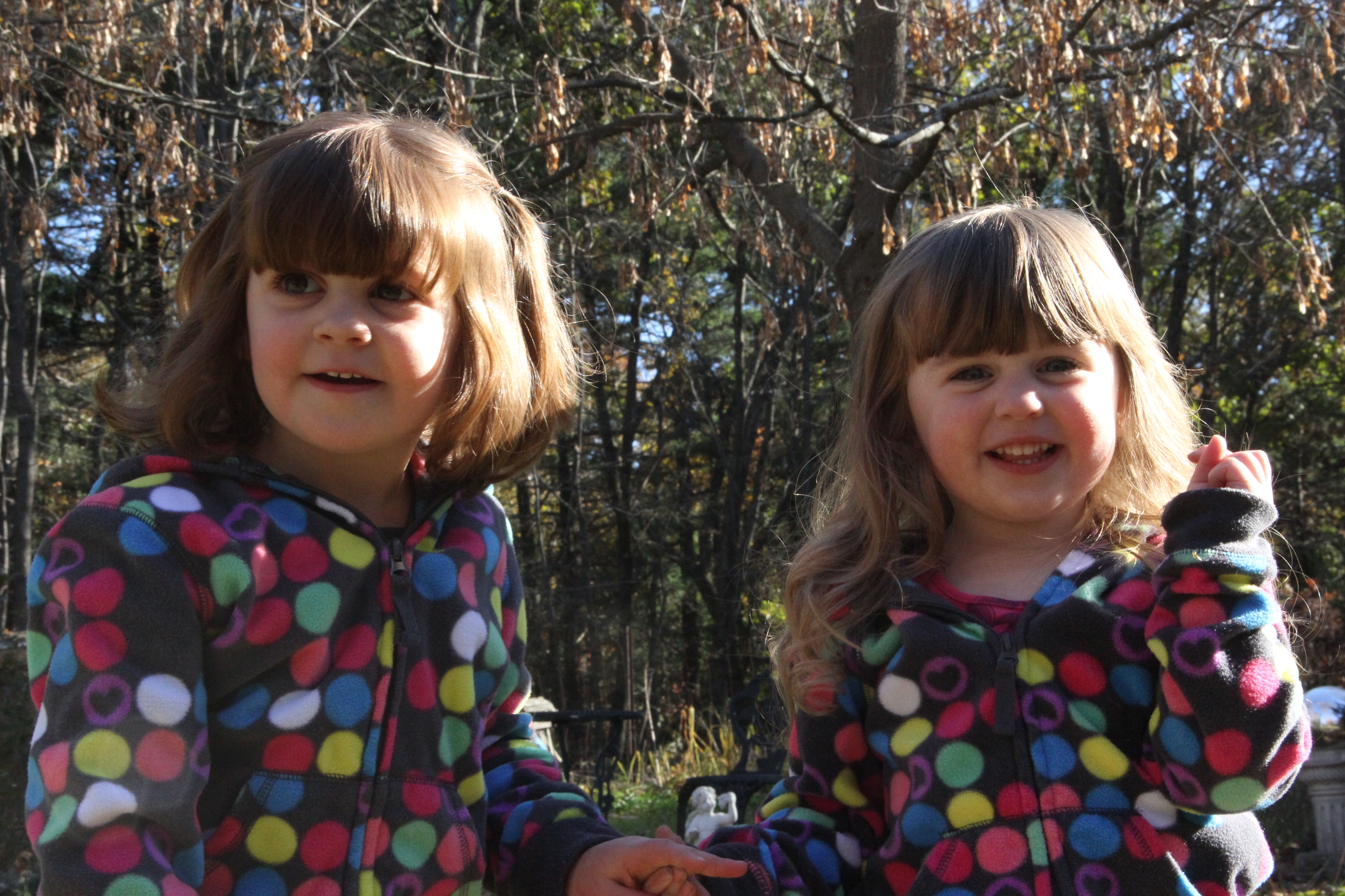 signing time Potty Time Potty Training