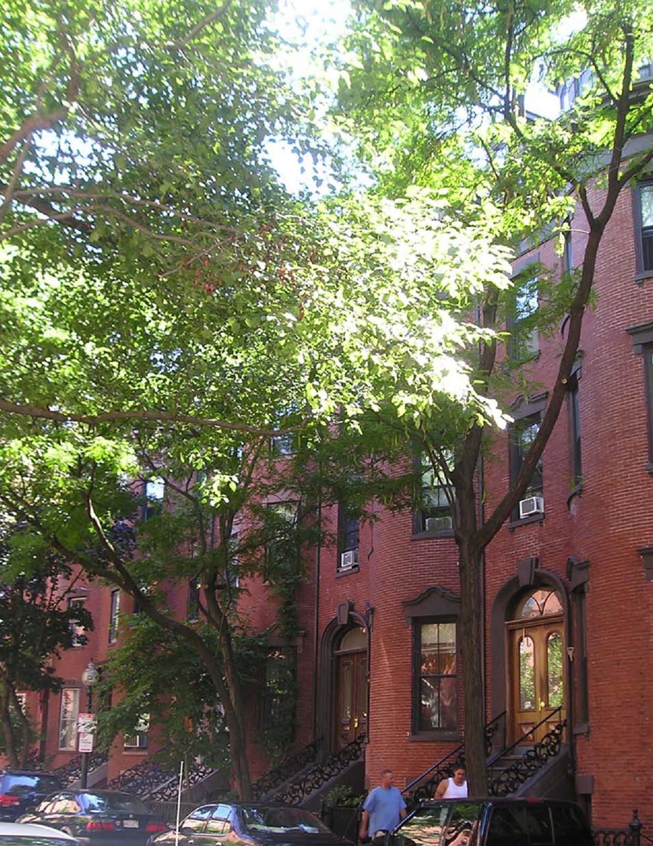 Planning Office for Urban Affairs ARCHDIOCESE OF BOSTON