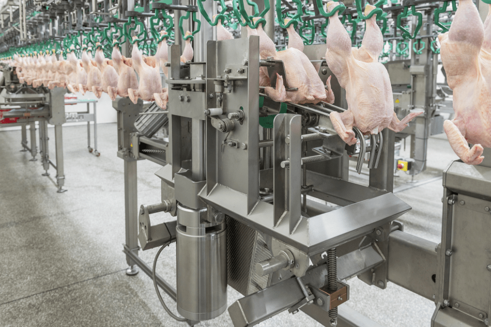 Poultry Processing Poullive