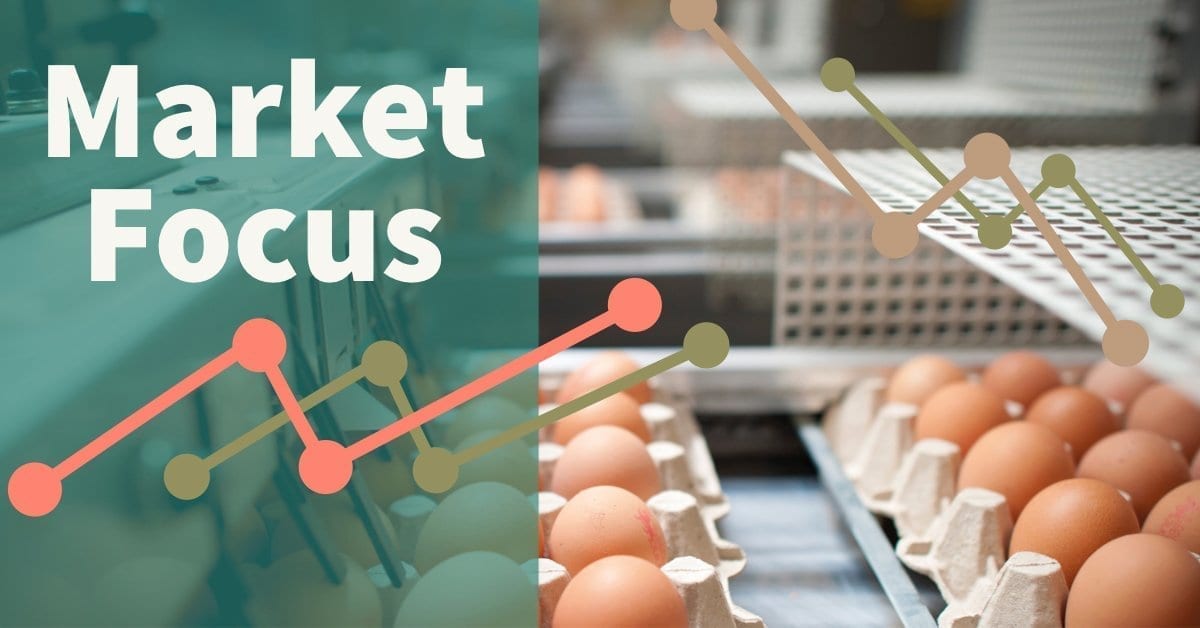 Egg market tightens after disappointing Christmas