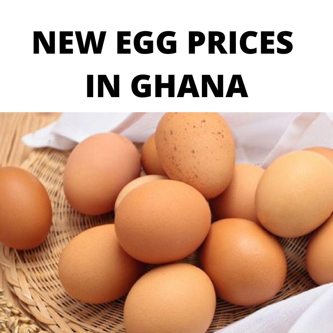 Ghana; New Egg Prices In Ghana Alarming 2023