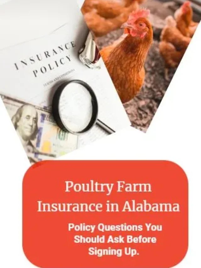 Poultry Farm Insurance Alabama Cost, Policy, Companies