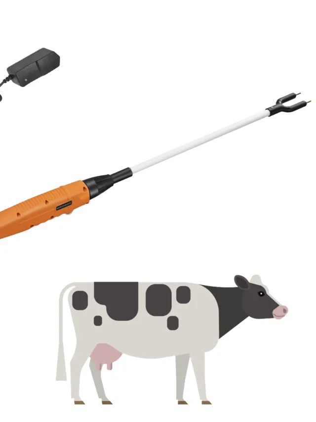 Cattle Prod POULTRY ABC
