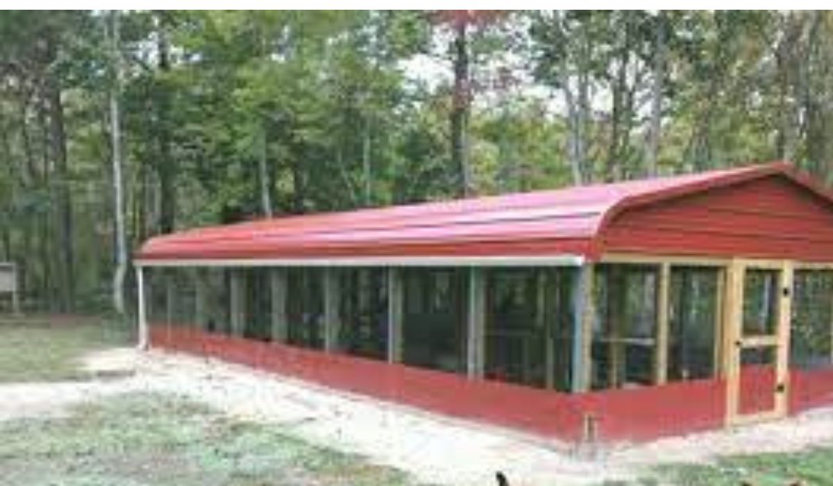 Poultry House Insurance Protect Your Chickens and Your Profits