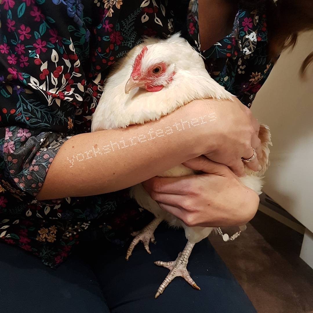 Antibiotic Eye Drops For Chickens Compare Cheap gbutaganskij.ru