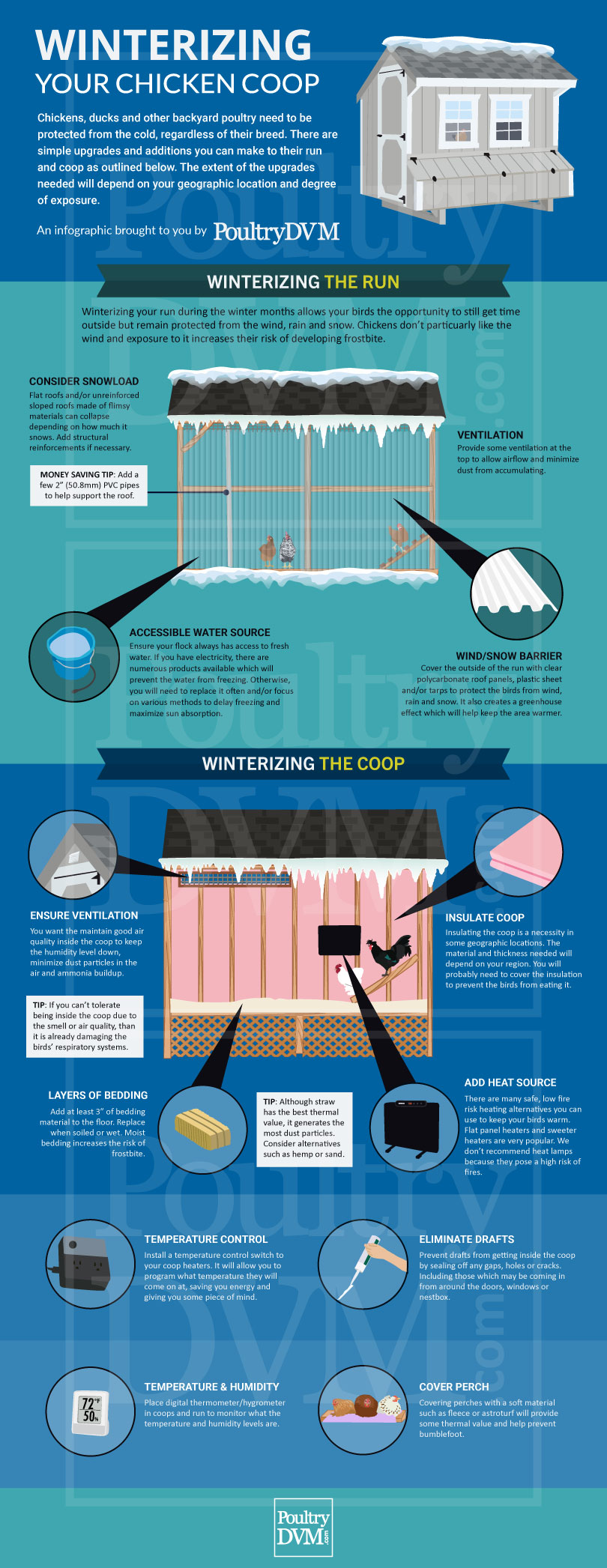 Winterizing your Chicken Coop Infographic