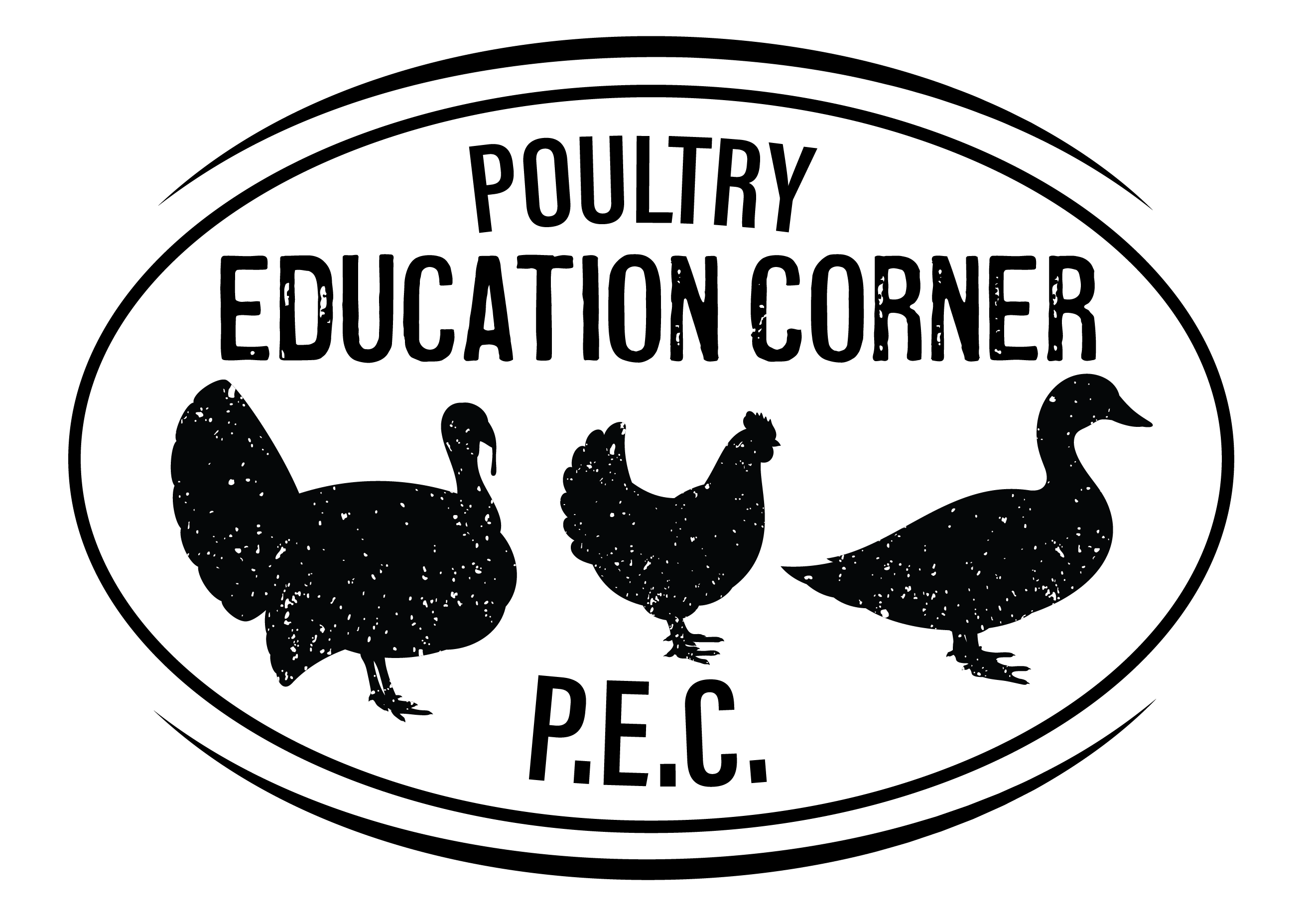 Poultry Education Corner Home