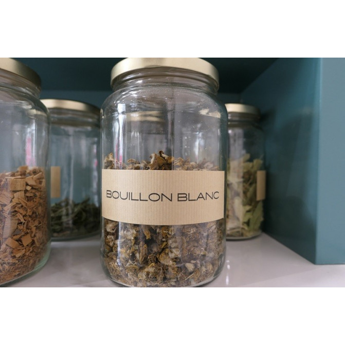 Bouillon Blanc pour Tisane et Infusion Bienfaits et Propriétés