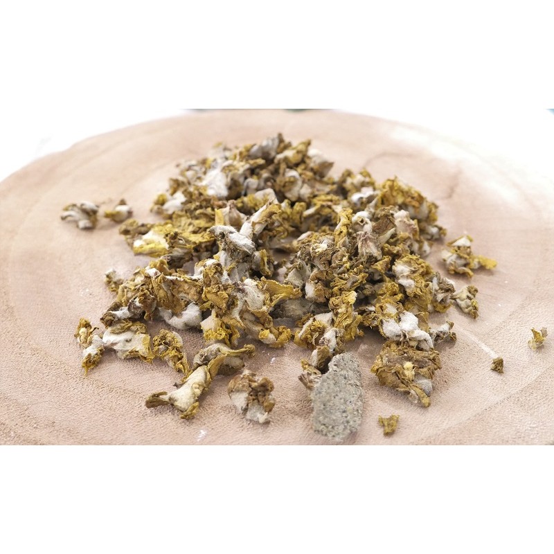 Bouillon Blanc pour Tisane et Infusion Bienfaits et Propriétés