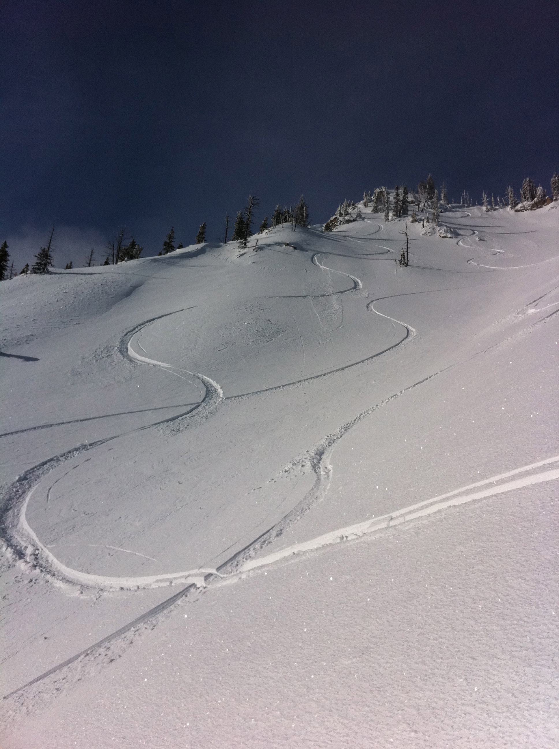 Fernie Mountain Powder! Powder Canada