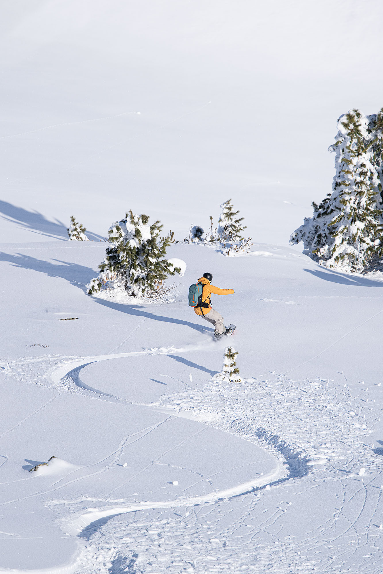 Deuter Powderchase Relaxed booking guaranteed Powder