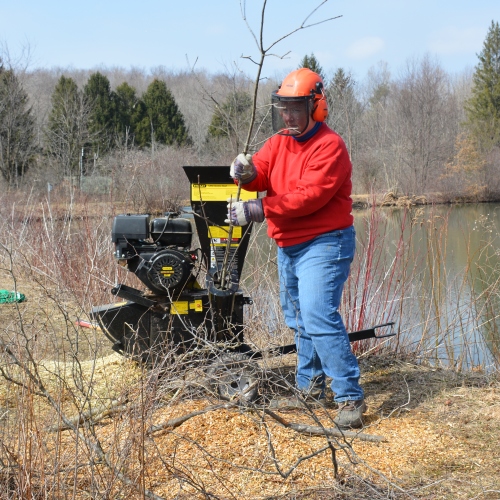 chipping Powdermill Nature Reserve