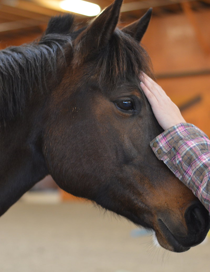 Leg Up Farm Powder Mill Foundation
