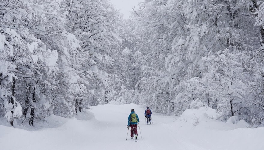 Like Chile on the western side of the Andes, climatic conditions in
