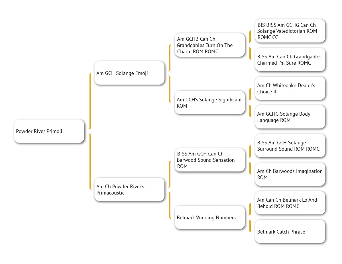 Dog Management Powder River Kennels