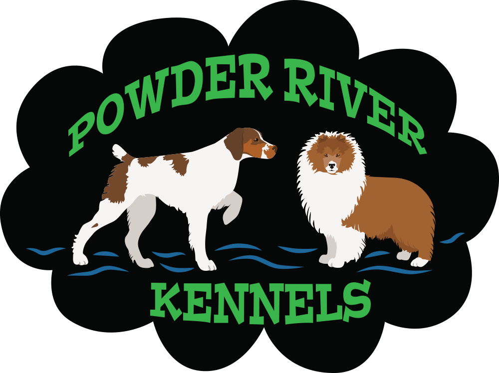 New Show Champion Powder River Kennels